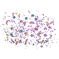 Confetti Shimmer & Shine